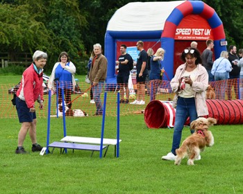  thirsk-sowerby-festival-landscape-2023-014 