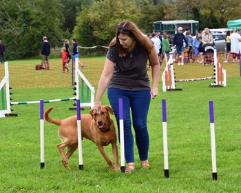  thirsk-sowerby-festival-landscape-2023-034 