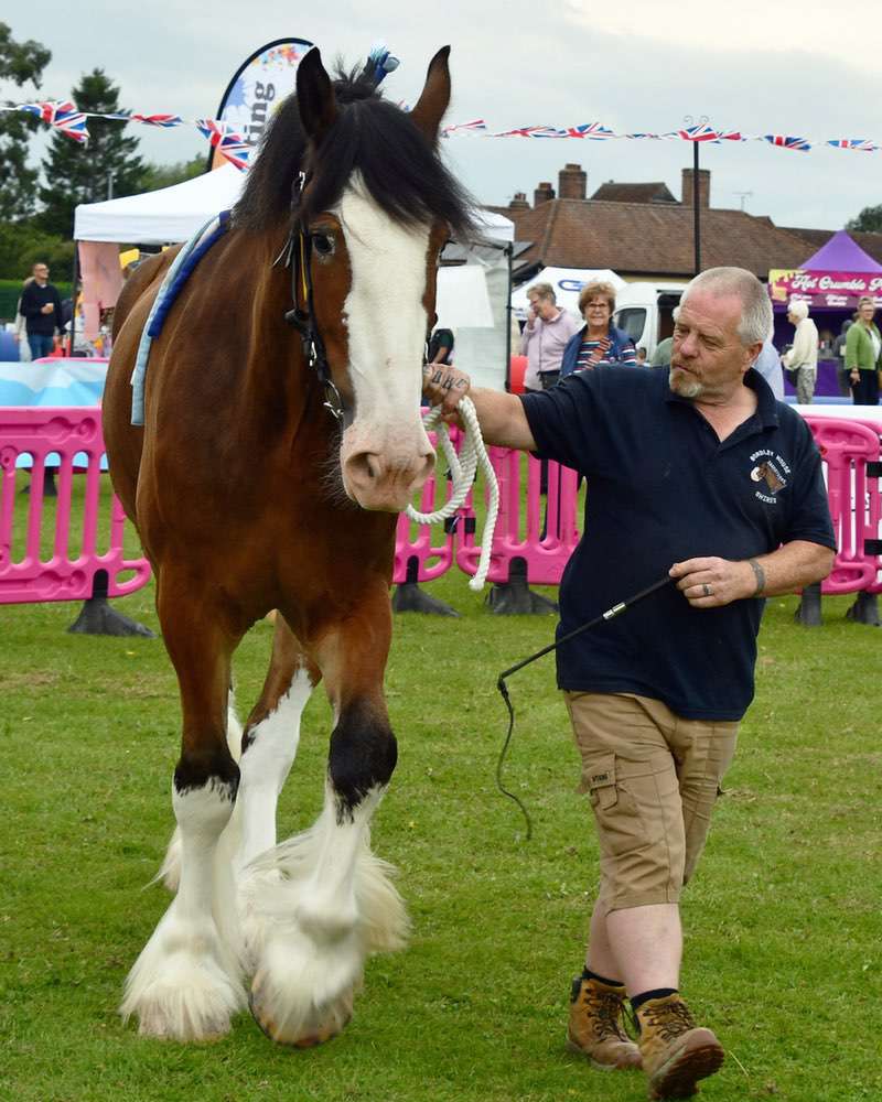  thirsk-sowerby-festival-portrait-2024-007 