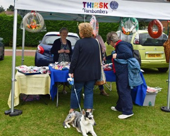  thirsk-sowerby-festival-landscape-2024-020 