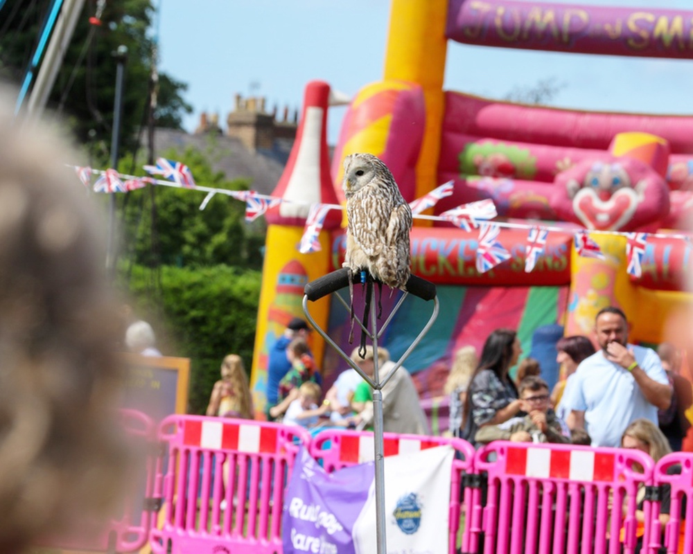  thirsk-sowerby-festival-landscape-2025-023 